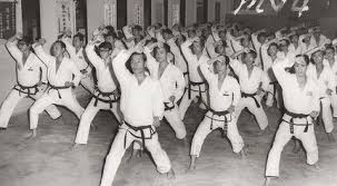Image result for Ndm Martial Arts