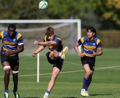 Image result for St Albans Rugby Football Sports & Social Club