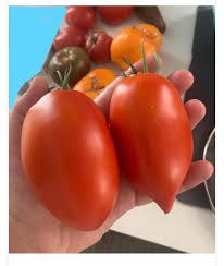 Afbeeldingsresultaat voor amish paste tomato