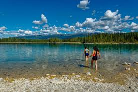 Image result for Leek Park B C