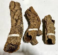 Attēlu rezultāti vaicājumam “Sciuro-hypnum curtum”