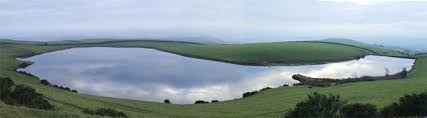 Image result for Ulverston Angling Association