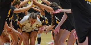 Image result for Newbury Volleyball Club