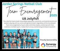 Image result for Farnham Netball Club