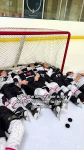Image result for Haringey Greyhounds Ice Hockey Club