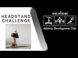 Image result for Excelsior Athletic Development Centre