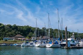 Image result for Neyland Yacht Club