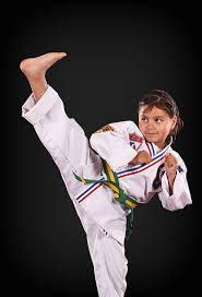 Image result for Walker's American Martial Arts