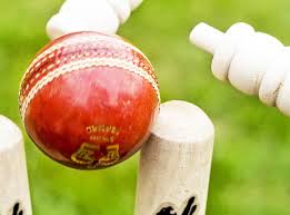 Image result for Alton Cricket Club