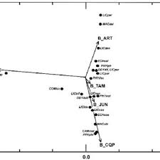 Attēlu rezultāti vaicājumam “Licea testudinacea plasmodium”