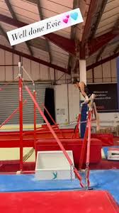 Image result for Swallows Of Helston Gym Club