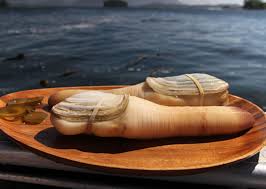 Image result for geoduck