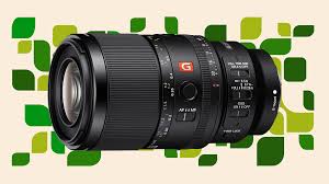 Attēlu rezultāti vaicājumam “macro”