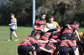 Image result for Wymondham Rugby Union Football Club
