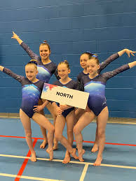 Image result for Redcar School Of Gymnastics