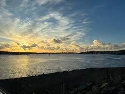 Image result for Neyland Yacht Club