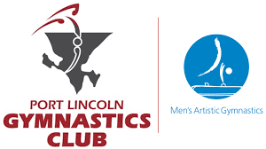 Image result for Lincoln Gymnastics Club