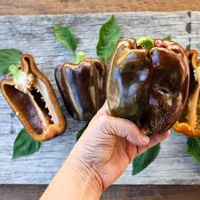 Afbeeldingsresultaat voor chocolate beauty sweet pepper