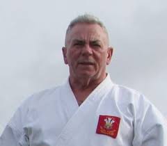 Image result for Twyford Higashi Karate Club