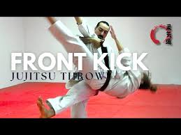 Image result for Hachidori ju-jitsu Martial Arts
