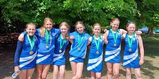 Image result for Cheshunt Youth Netball Club