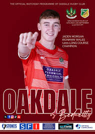 Image result for Tredegar Ironside Rugby Football Club