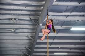 Image result for United Gym Academy Ltd