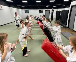 Image result for Kidderminster Martial Arts Academy