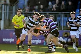 Image result for Belvedere Park Junior Football Club