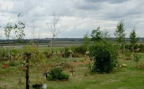 Image result for Mersea Island Bowls Club