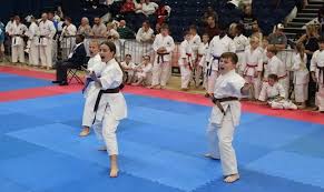 Image result for TIVERTON SHOTOKAN KARATE CLUB