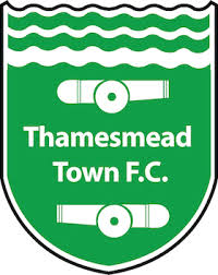 Image result for Thames Ditton Schools Fc