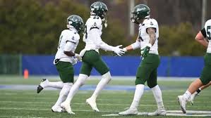 Image result for Fernhurst Sports