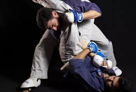 Image result for Yoseikan Budo England