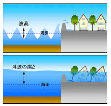 Image result for 高潮 津波 別物