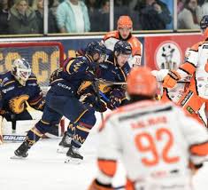 Image result for Sheffield Steelers