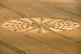 Image result for crop circles