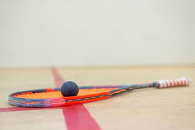 Image result for Norfolk Badminton Club