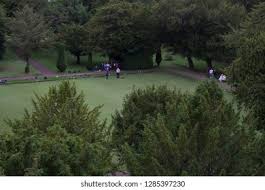 Image result for Dirleton Bowling Club
