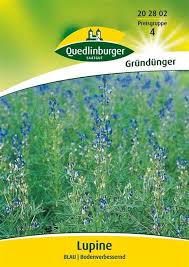 Image result for Lupinen