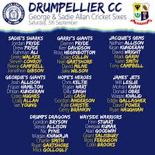 Image result for Drumpellier Cricket Club