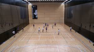 Image result for University of Newcastle-Upon-Tynes Ultimate Frisbee Club