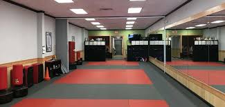 Image result for COURT FIELDS karate Academy