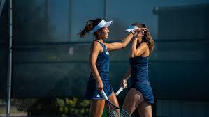 Image result for V-Tennis
