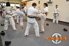 Image result for Kyokushin Karate