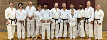 Image result for Northern Freestyle Karate Association