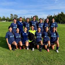 Image result for Elite Football Surrey