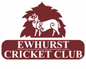Image result for Ewhurst Stoolball Club