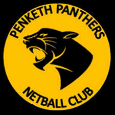 Image result for Medway Panthers Netball Club