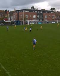 Image result for Haywards Heath Town Ladies Football Club